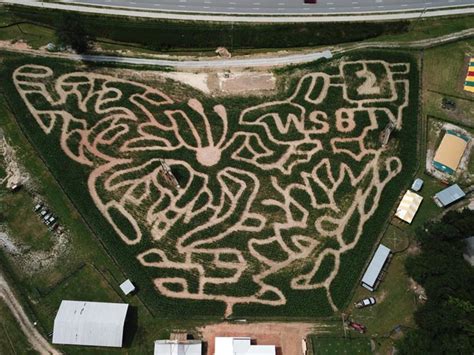 Corn Maze Near Mebest Corn Mazes In Every State Parade 103680 Hot Sex Picture