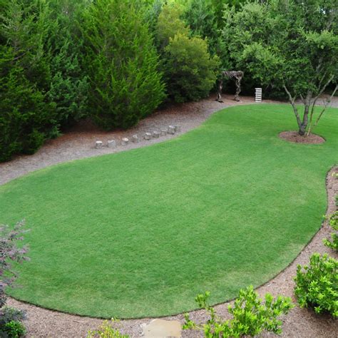 Types Of Turf Grass In Wilmington Element Outdoor Living Blog Post