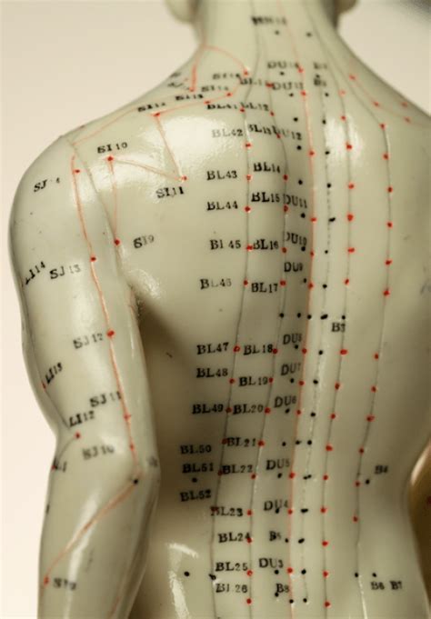 Backpain In 2020 Acupuncture Points Acupuncture Benefits