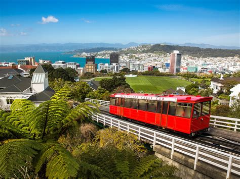 Wellington 2024 Ultimate Guide To Where To Go Eat And Sleep In