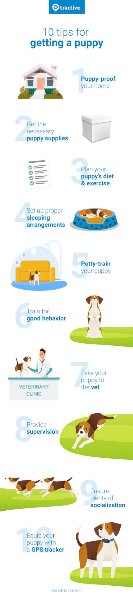 10 Step Puppy Care Guide For New Dog Parents Tractive
