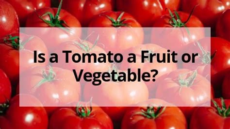 Historical Science Tomato Vegetable Or Fruit Supreme Court