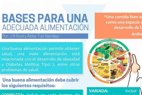 Microbiota Intestinal Federación Mexicana De Diabetes Ac