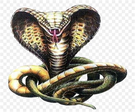 #snake #cobra #snake drawing #markers #my art. Snake Tattoo Cobra Drawing Sketch, PNG, 760x680px, Snake ...