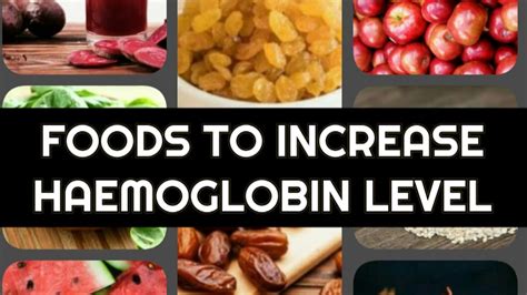 Top Foods To Increase Hemoglobin In Our Blood Youtube