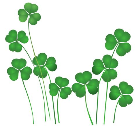 May 11, 2020 · st. St Patricks Day Shamrocks Decor PNG Clipart | Gallery ...