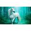 Unicorn  Messages From Your Animal Spirit Guides All About Paranormal