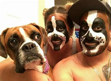 Pin By Bzarbara Teresa On Halloween Boxer Dogs Boxer Dogs Funny