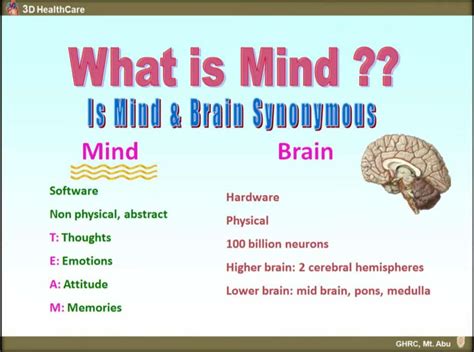 What Is The Difference Between Mind And Brain Food For Thoughts