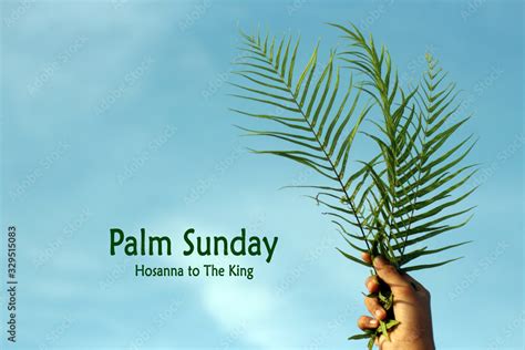 Christian Inspirational Quote Palm Sunday Hosanna To The King With