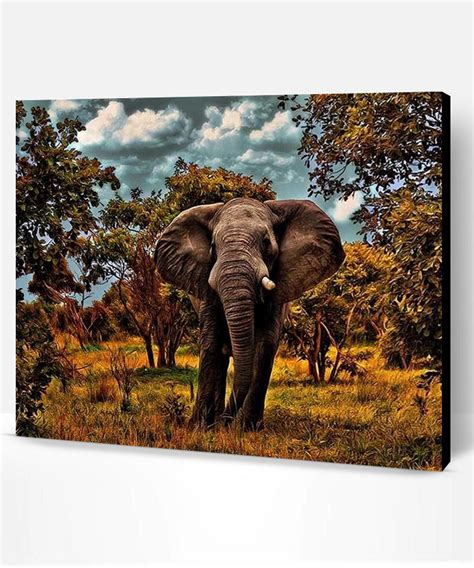 Wild Elephant Animals Paint By Number Paint By Numbers Pro