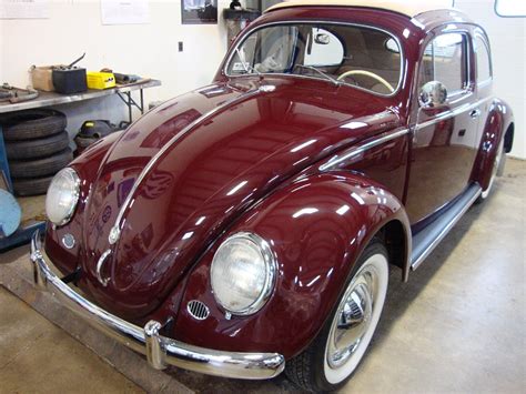 1953 Oval Window Vw Ragtop Euro Beetle Bug Classic Vw Beetles And Bugs Restoration Site By Chris