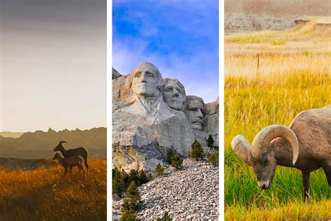 51 Fun Facts About South Dakota That Most People Dont Know