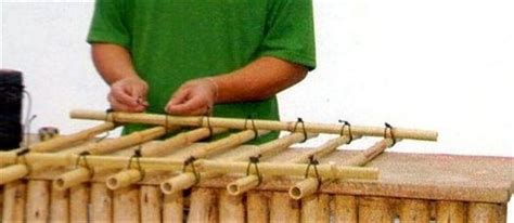 A Man Is Playing An Instrument Made Out Of Bamboo Sticks