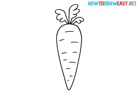 How To Draw A Carrot For Beginners Carrot Drawing Easy Cartoon
