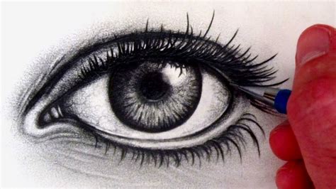 How To Draw Realistic Pencil Sketch Realistic Eye Rea