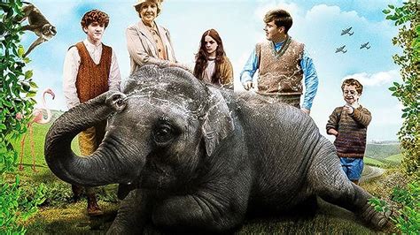 Review Film: Zoo 2018 | Kisah Nyata Gajah yang Selamat dalam Sejarah