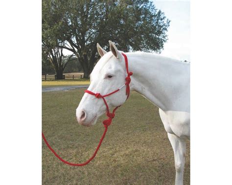 Hamilton Knotted Rope Halter With Matching Lead For Horses