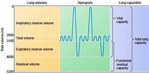 140 Best Images About Cardio Pulmonary Respiratory On Pinterest