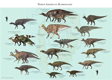 North American Hadrosaurs Artwork By Paleoguy Prehistoric Animals