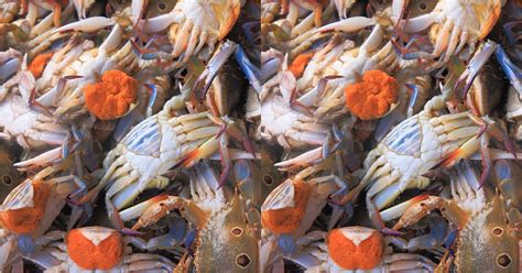 We did not find results for: Ramai Tersilap Beli Ketam Yang Kurang Isi, Ini 8 Tips Cara ...