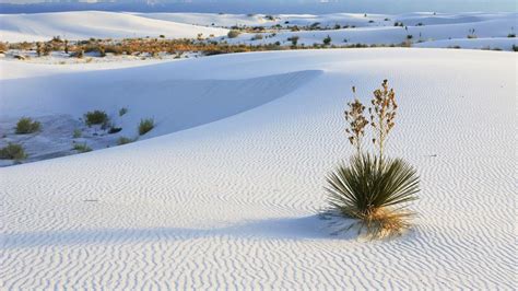 White Sands National Monument Wallpapers Wallpaper Cave