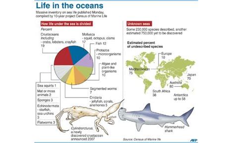 Global Marine Life Census Charts Vast World Beneath The Seas