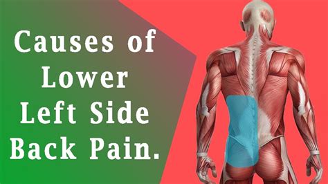 Causes Of Side Pain Pelajaran