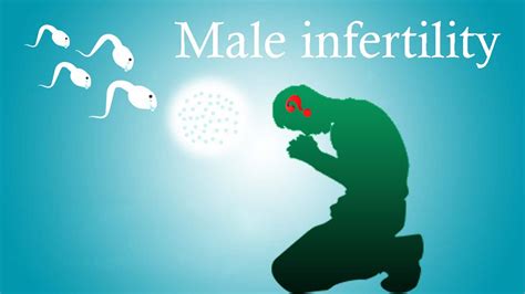 What Is Male Infertility Causes Diagnose Treatments And Prevention
