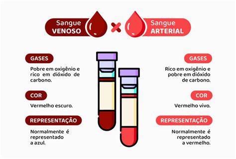 Quais São Os Tipos De Sangue Que Existe