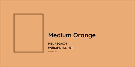 About Medium Orange Color Meaning Codes Similar Colors And Paints