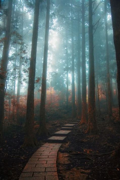 Pin By Dm On Pretty Pathways Paths Nature Nature Photography