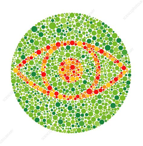 Colour Blindness Test Stock Image M4500288 Science Photo Library