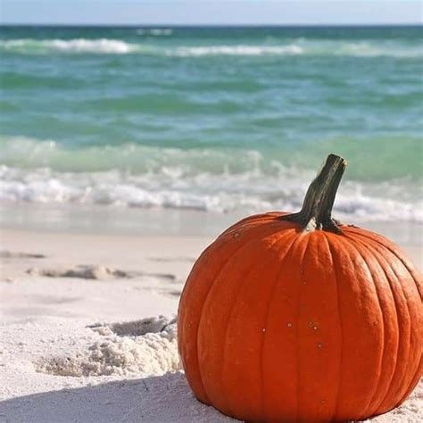 Pin By Diane Domings On Beach Holiday And Greetings Vintage Halloween