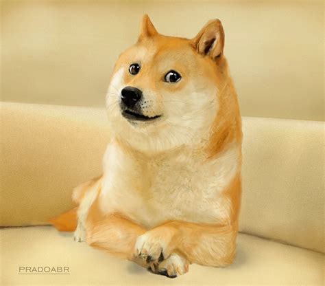 Shiba Inu Doge On Behance Doge Meme Funny Dogs Dog Memes