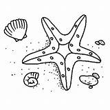 Coloring Starfish Library Clipart Line sketch template