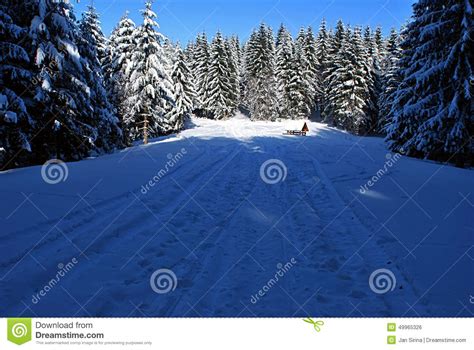 Winter Meadow With Shelter And Forest Around Stock Photo Image Of