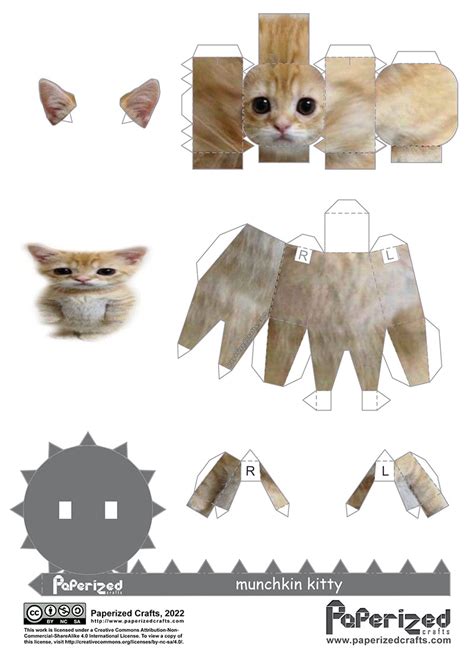 Munchkin Kitty Papercraft Paperized Crafts Cat Template Paper Doll