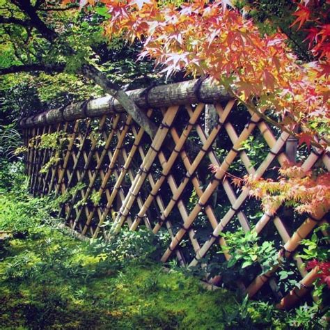 Dekor asia jayakarya.ltd address : Top 50 Best Bamboo Fence Ideas - Backyard Privacy Designs