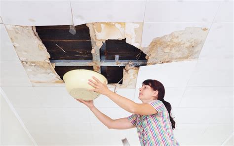 Is Your Roof Leaking Everything You Need To Know Trinity Roofing And Restoration