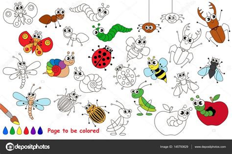 Dibujos Para Colorear De Insectos Para Ninos - Dibujos Para Colorear Y