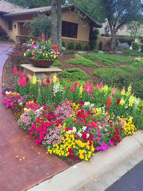 Fall And Winter Flower Beds Landscape Makeover Folsom And Sacramento