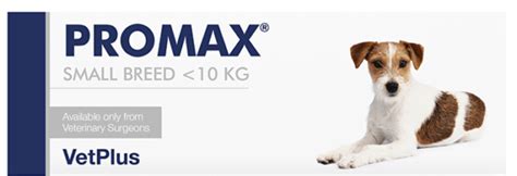 Vetplus Promax Small Breed Dogs ≪10kg 9ml 黃 Petinhk