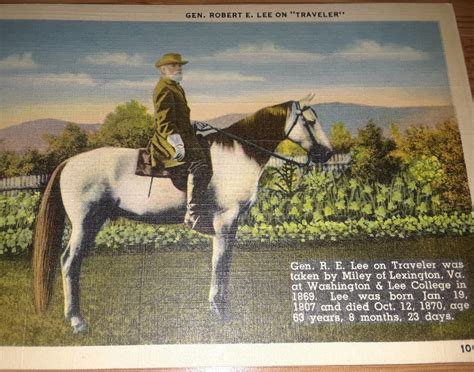 3 Vintage Horse Postcard General Robert E Lee On His Gray