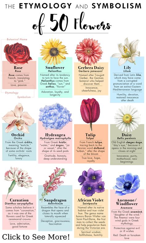 the etyomology and symbolism of 50 flowers flower meanings different kinds of flowers flower