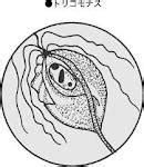 2012年02月08日 - 医学生のじゆう研究