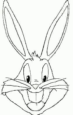Drawing sunny bunnies coloring page. The 10 year project | Bunny coloring pages, Bunny drawing ...