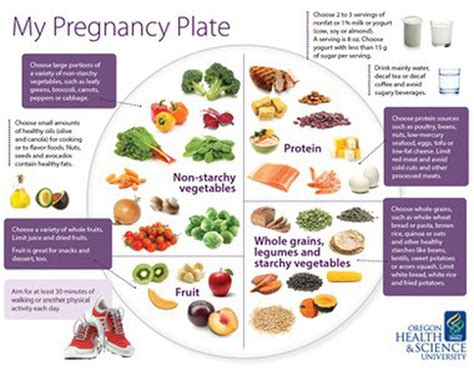 My Pregnancy Plate Helps Moms To Be With Nutrition Oregonlive Com