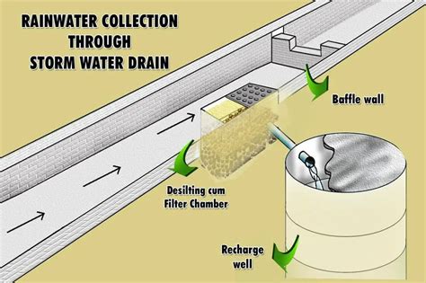 How To Collect Rainwater For Drinking Best Easy Ways