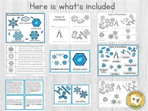 Snowflake Life Cycle Types Of Snowflakes Snow Life Cycle Bentley